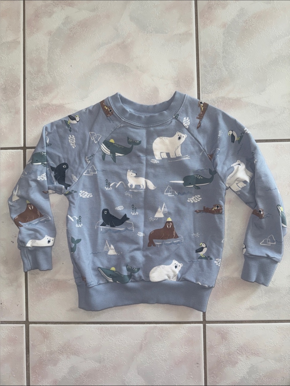 Little Sleepies Crewneck Pre Owned 3T